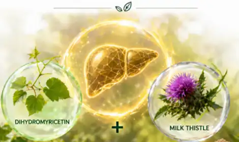 Milk Thistle Extract vs DHM: Which Ingredient Works Best for Liver Support Supplements?